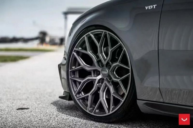 VOSSEN 4.jpg